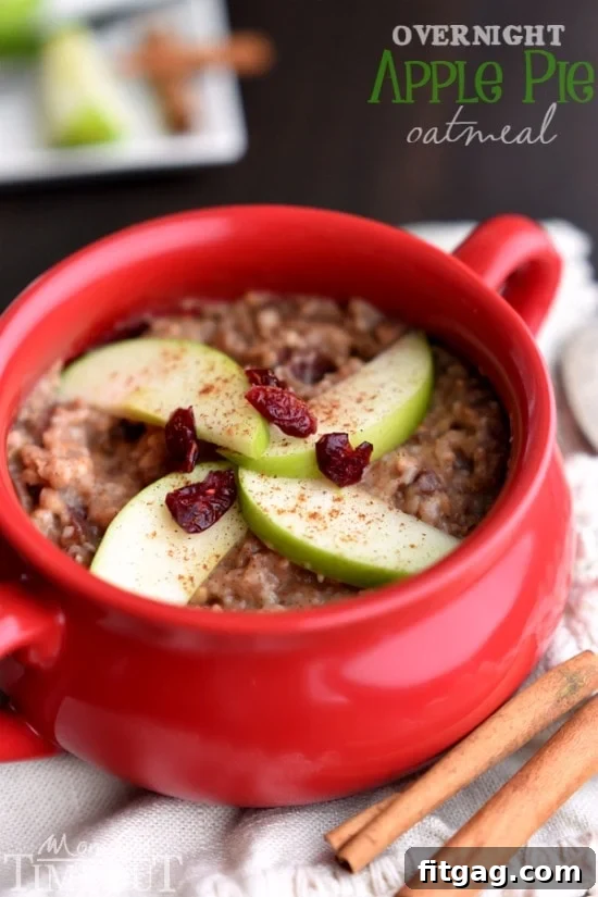 A beautifully presented bowl of Overnight Apple Pie Slow Cooker Oatmeal, topped with fresh apple slices, a sprinkle of cinnamon, and a few whole dried cranberries. The texture is creamy and inviting.