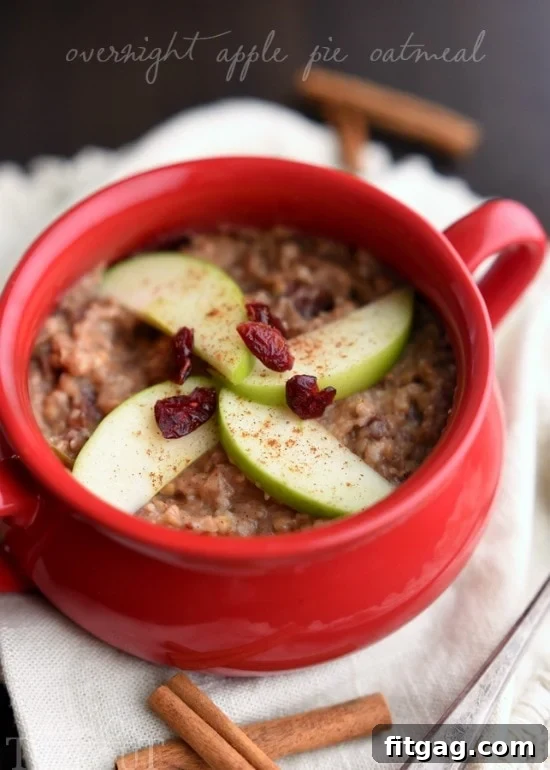 A cozy bowl of slow cooker apple pie oatmeal, garnished with fresh apple slices, plump dried cranberries, and a dusting of cinnamon, against a rustic background.