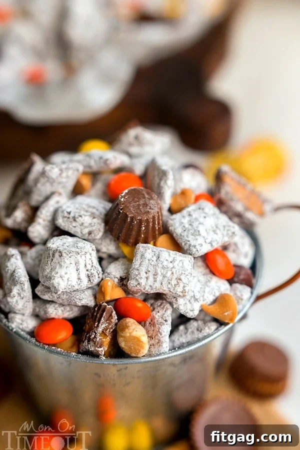 Close-up of a serving of Reese's Muddy Buddies, tempting with its rich colors and textures.