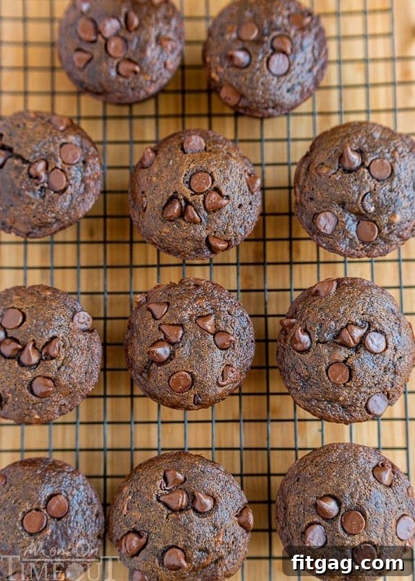 Double Chocolate Banana Applesauce Muffins are perfect for those days when you wake up with a chocolate craving. Easy, delicious and made without oil, butter, or eggs. The perfect breakfast or brunch recipe!| MomOnTimeout.com | #vegetarian #vegan