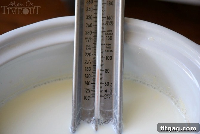Thermometer in slow cooker monitoring milk temperature