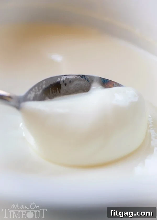 Refrigerated homemade slow cooker yogurt in the insert