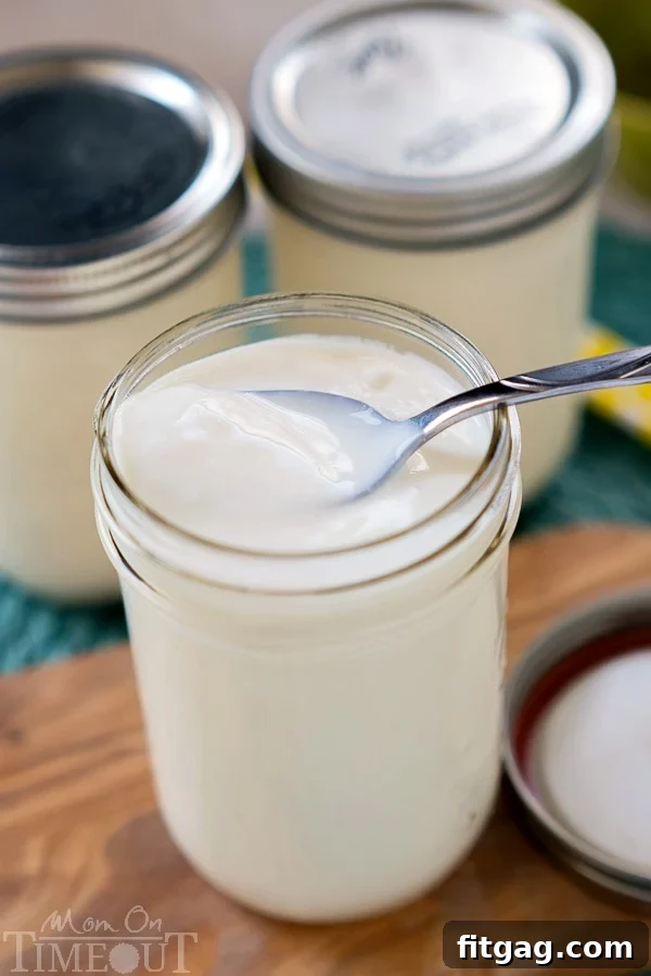 Homemade slow cooker yogurt stored in mason jars