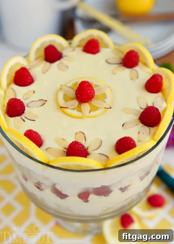 Airy Lemon Raspberry Cheesecake Trifle 4 An overhead view of the Skinny Lemon Raspberry Cheesecake Trifle, highlighting the beautiful contrast of yellow, white, and red layers