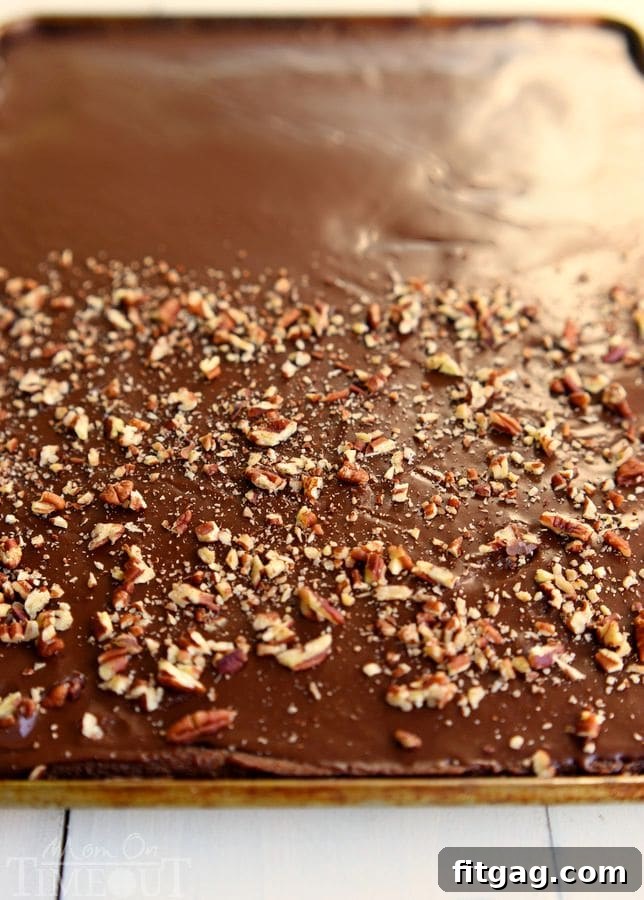 The Ultimate Texas Sheet Cake Recipe 3 A Texas Sheet Cake partially topped with chopped nuts, offering a choice between nutty and plain slices.