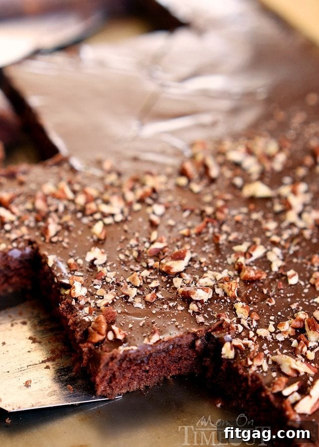 The Ultimate Texas Sheet Cake Recipe 4 A large sheet pan holding a freshly baked Texas Sheet Cake, highlighting its expansive, crowd-friendly size.