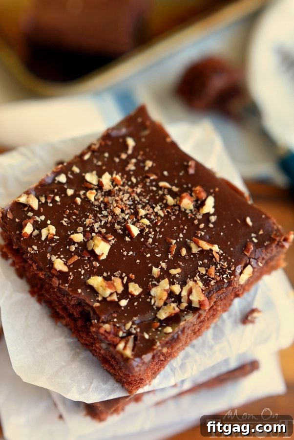 The Ultimate Texas Sheet Cake Recipe 6 A perfect, rectangular slice of Texas Sheet Cake with its signature shiny chocolate glaze and moist crumb.