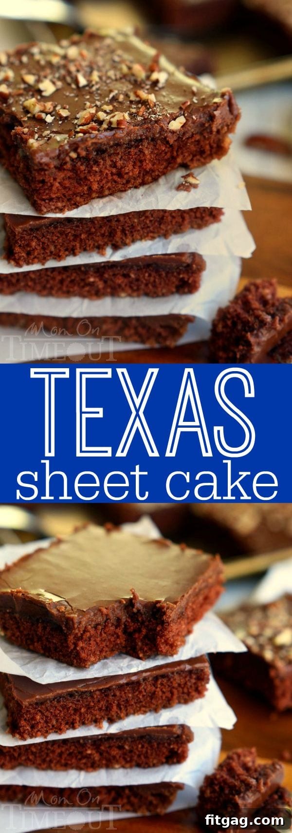 The Ultimate Texas Sheet Cake Recipe 7 A vibrant collage of various Texas Sheet Cake images, showcasing the delicious baking process and the final stunning dessert.